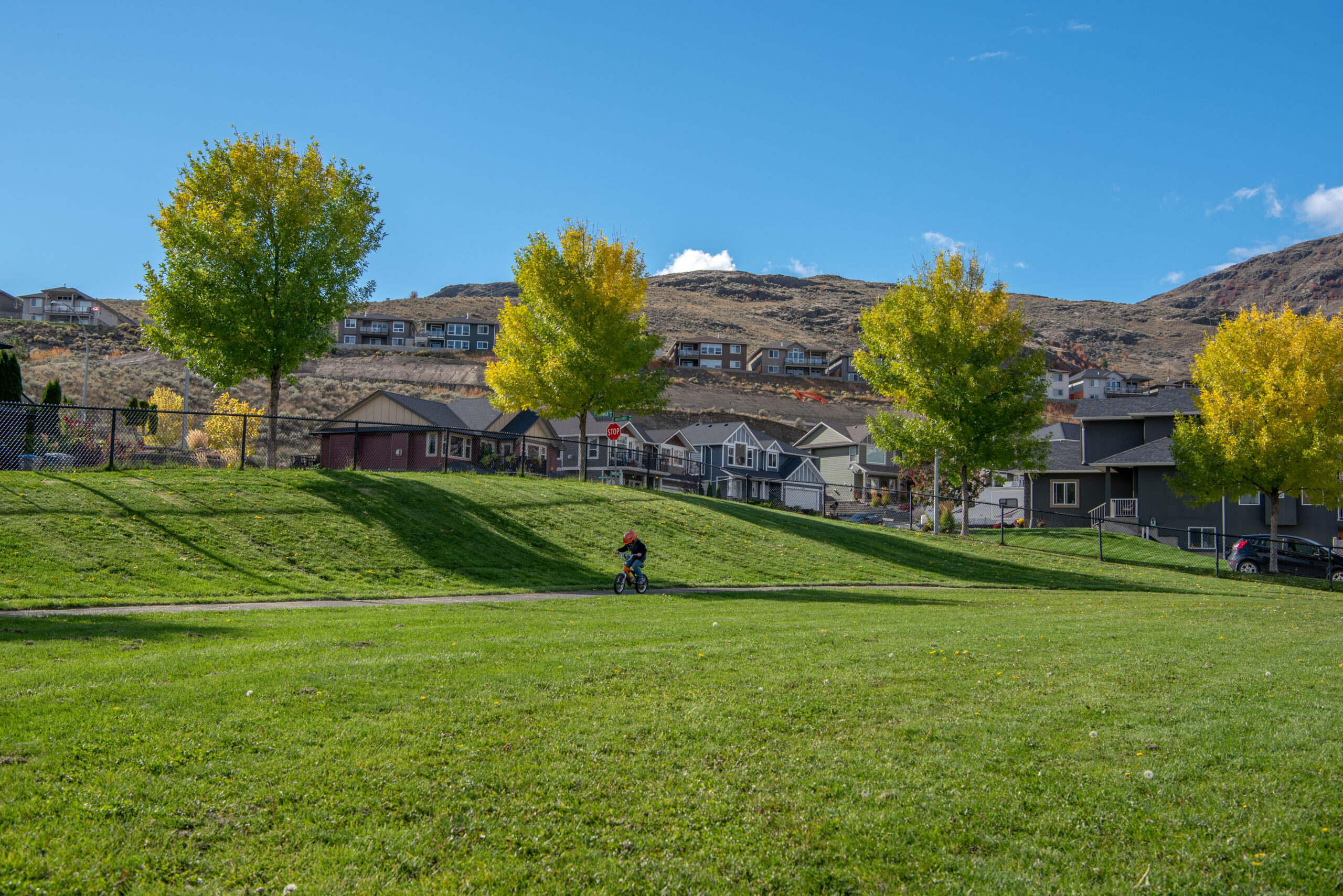 Houses are nestled along a hilly suburb. In the foreground, a child is riding a bike along a pedestrian footpath.