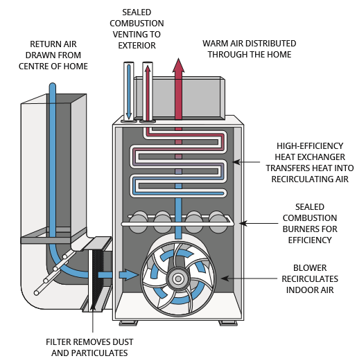 A cross-section of an ENERGY STAR gas furnace, with labels for: Sealed combustion venting to exterior, high-efficiency heat exchanger transfers heat into recirculating air, sealed combustion burners for efficiency, blower recirculates indoor air, filter removes dust and particulates, return air drawn from centre of home, warm air distributed through the home.