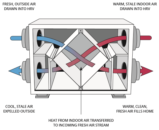 A cross-section diagram of a heater recovery ventilator (HRV), with labels for: Fresh, outside air drawn into HRV; warm, stale indoor air drawn into HRV; cool, stale air expelled outside; heat from indoor air transferred to incoming fresh air stream; warm, clean, fresh air fills home.